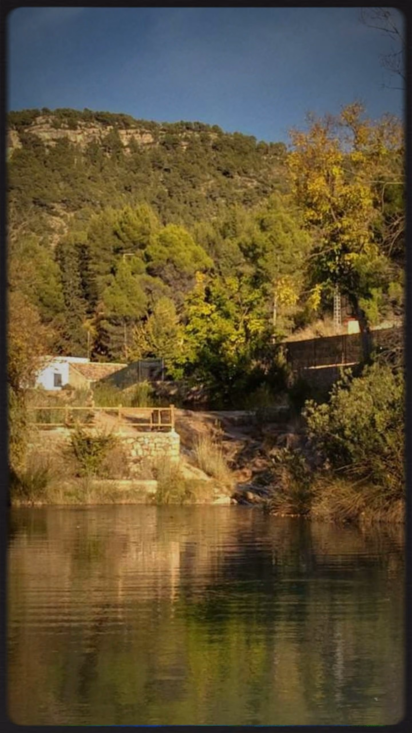 Ladera de pinos y bancales sobre el agua, en el Alto Turia.